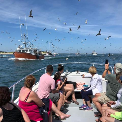 a group of people flying kites in a body of water